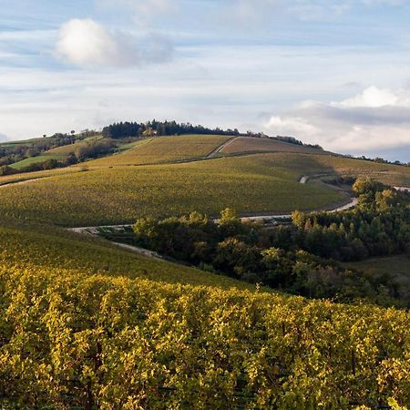 Готель Ca' Del Moro Wine Retreat Греццана Екстер'єр фото