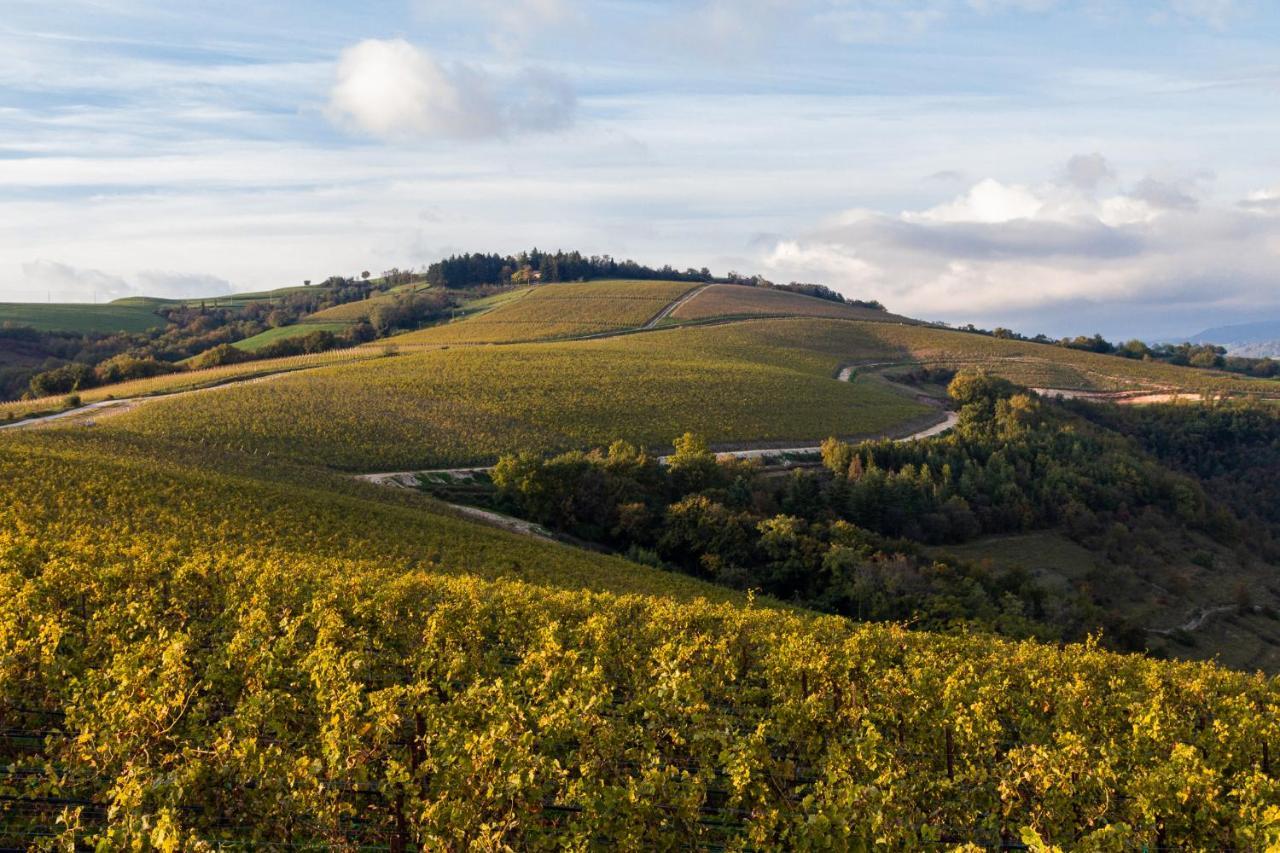 Готель Ca' Del Moro Wine Retreat Греццана Екстер'єр фото
